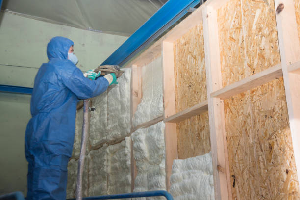 Best Insulation Contractors for Homes  in Fife, WA